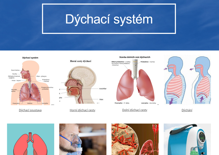 dýchací systém