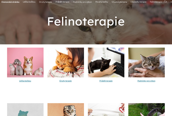 felinoterapie