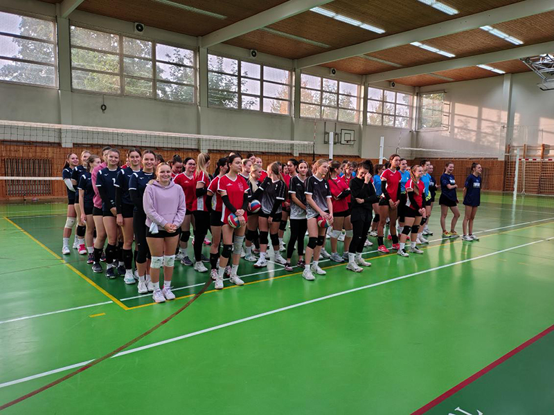 Okresní přebor středních škol ve volejbale dívek Okresní přebor středních škol ve volejbale dívek