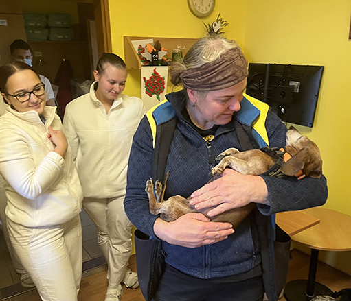 Čtyřnozí terapeuti potěšili seniory i žáky Čtyřnozí terapeuti potěšili seniory i žáky